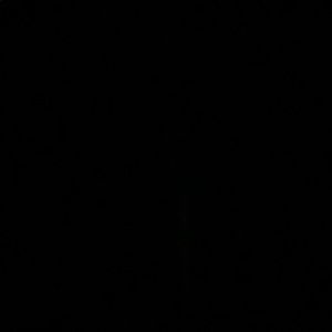 Meet your Posher, Randi